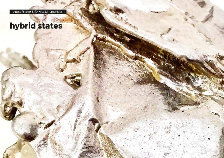 LR MFA process JPEG images_Page_001