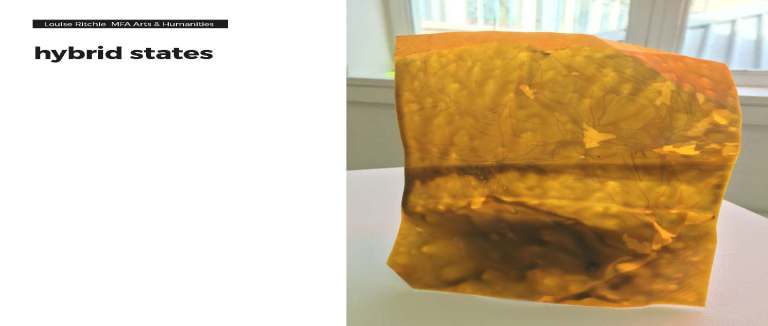 LR MFA process JPEG images_Page_080