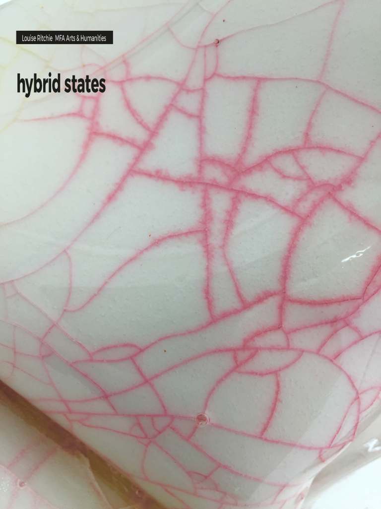 LR MFA process JPEG images_Page_104